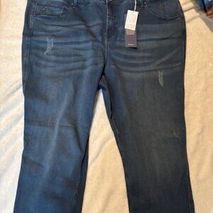 Laurie Felt Women's 3X Silky Denim Easy Skinny Blue Jeans
